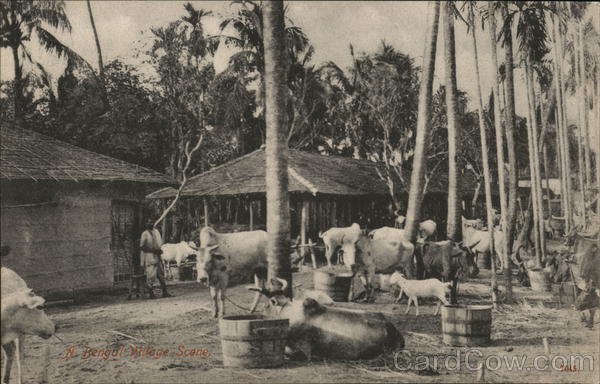 Bengali Village Scene India