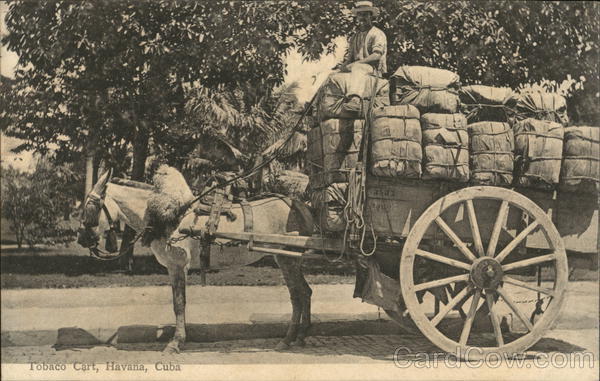 Tobacco Cart Havana Cuba