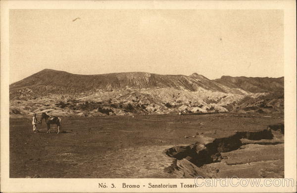 Sanatorium Tosari Bromo Indonesia Southeast Asia