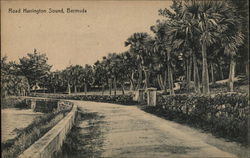 Road Harrington Sound Bermuda Postcard Postcard