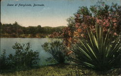 Scene at Fairylands Bermuda Postcard Postcard