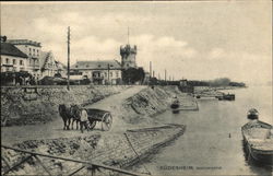 View of Town and Rhein RIver Postcard
