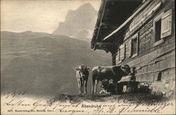 Calm Evening Postcard