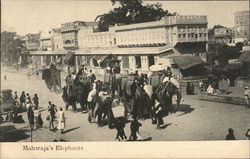Maharaja's Elephants Postcard