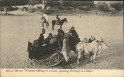 Six or Seven Women sitting in a cart, passing through a Jungle Postcard