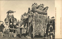 Elephants and their Howdas in India Postcard