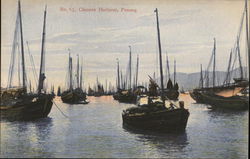 Chinese Harbour Postcard