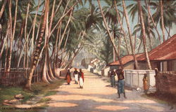 Rural Street Scene Postcard