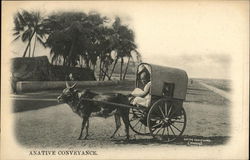 A Native Conveyance Postcard