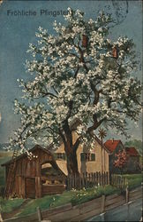 Frohliche Pfingsten Postcard