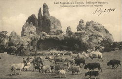 Carl Hagenbeck's Tierpark, Stellingen Postcard