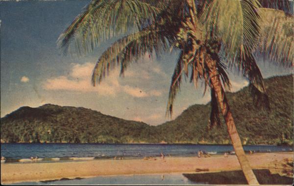 Maracos Bay Trinidad Caribbean Islands