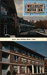 Wellesley Motor Inn Postcard