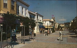Cape May, New Jersey Postcard