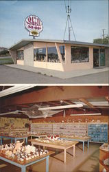 The Shell Shop Morro Bay, CA Postcard Postcard Postcard