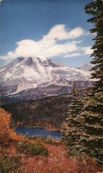 View of Mt. Rainier Postcard