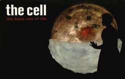The Cell, the Basic Unit of Life Advertising Postcard Postcard Postcard