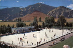 Olympic Size Skating Rink Postcard
