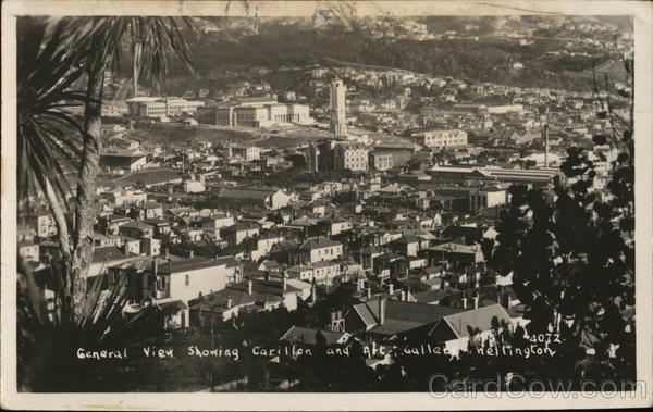 General View showing Carillon and Art Gallery Wellington New Zealand