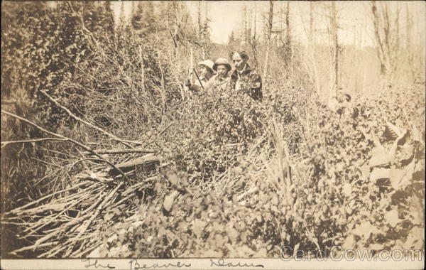 The Beaver Dam Mercer Wisconsin