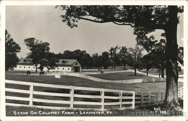 Scene on Calumet Farm Lexington Kentucky