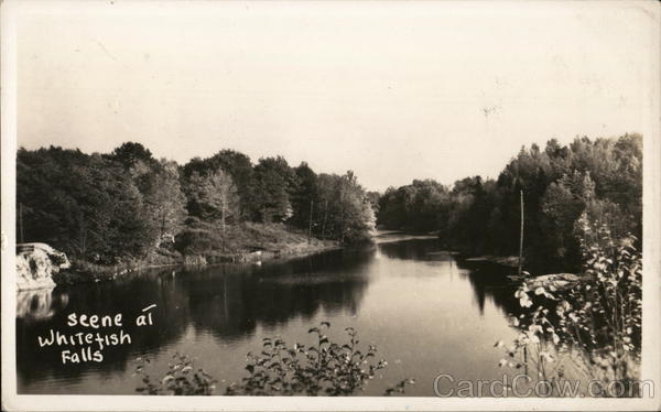 Scene at Whitefish Falls ON Canada Ontario