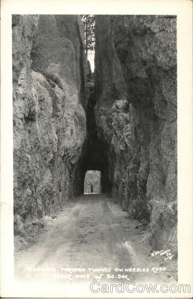 Through Tunnel on Needles Road Black Hills South Dakota