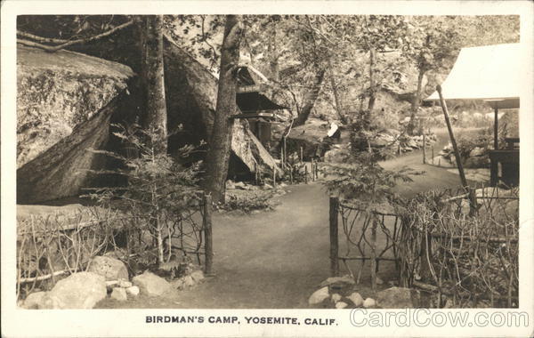 Birdman's Camp Yosemite California Yosemite National Park