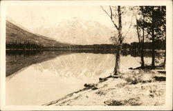 Jenny Lake Postcard