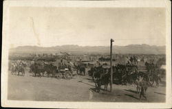 Pershing's Army Camp Mexico Military Postcard Postcard Postcard
