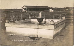 County Fair Ground Postcard