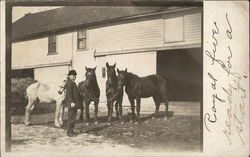 Man and Horses Man and Horses