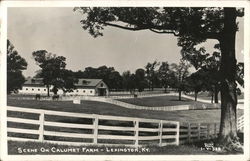 Scene on Calumet Farm Lexington, KY Postcard Postcard Postcard
