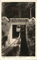 Profile Underpass Postcard