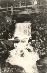 The Cascade Taylors Falls, MN Postcard Postcard Postcard