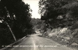 Circle Drive between Hollister and Branson Postcard