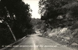 Circle Drive between Hollister and Branson Missouri Postcard Postcard Postcard