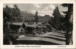 Jasper Park Lodge Bungalows Postcard