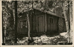 Cabin at Wheeler's Lodge-Pike Lake Chain Postcard