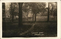 "Lover's Lane" Postcard