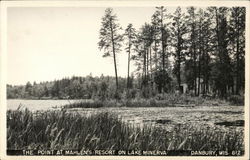 The Point at Mahlen's Resort on Lake Minerva Postcard