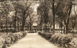 Approach to Lake Lawn Hotel Postcard