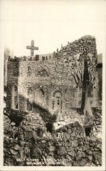 Holy Ghost Tree Grotto Postcard