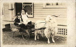 Children in Goat Pulled Cart Spokane, WA Goats Postcard Postcard 