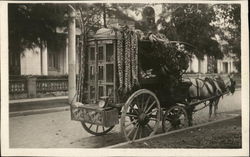 Horse-Drawn Grocery Store Postcard