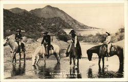 Sahuaro Lake Ranch Mesa, AZ Postcard Postcard Postcard