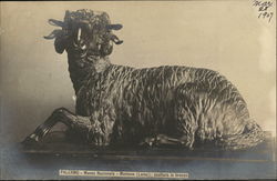 Bronze Ram Statue, Museo Nazionale - Montene Palermo, Italy Postcard Postcard Postcard