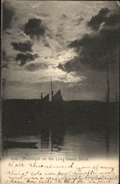 Moonlight on the Long Island Shore New York Boats, Ships