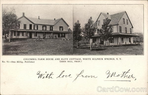 Columbia Farm House and Elite Cottage White Sulphur Springs New York