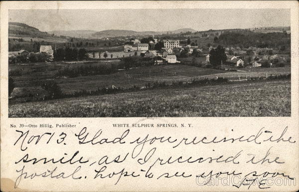 View of Town White Sulphur Springs New York